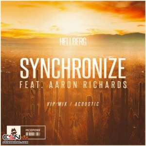 Synchronize (VIP Mix) - Single