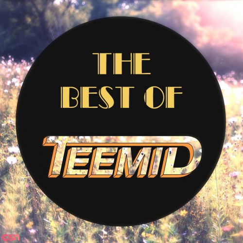 The Best Of TEEMID