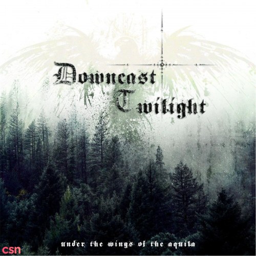 Downcast Twilight