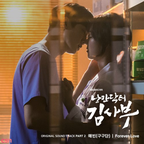 Romantic Doctor Teacher Kim OST