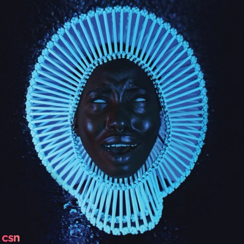 Awaken my love