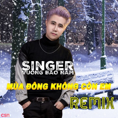 Mùa Đông Không Còn Em (Remix) (Single)