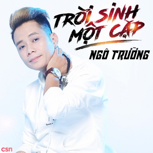 Ngô Trường