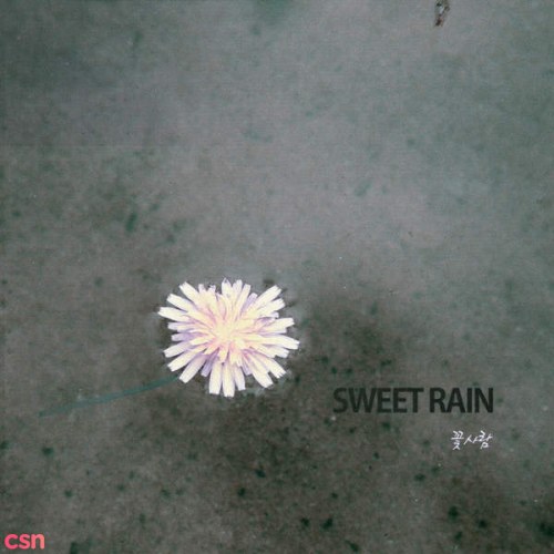 Danbi (Sweet Rain)