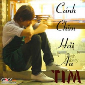 Cánh Chim Hải Âu (Single)