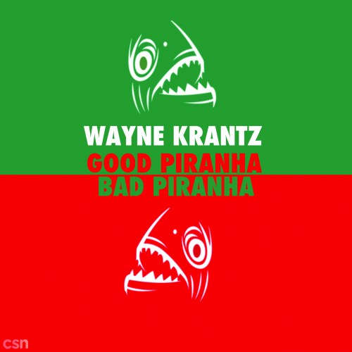 Wayne Krantz