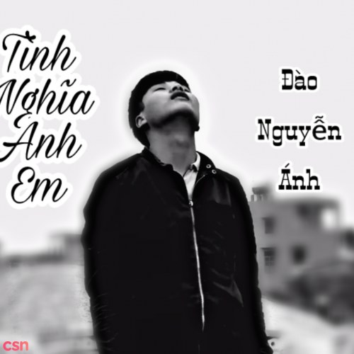 Tình Nghĩa Anh Em (Single)