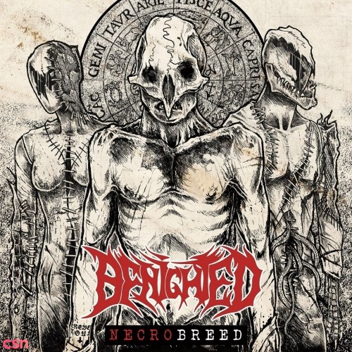 Benighted