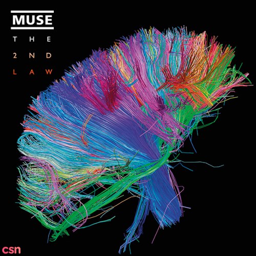 Muse