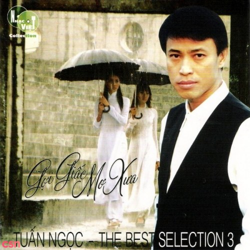 The Best Selection 3: Gợi Giấc Mơ Xưa