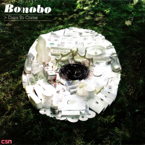 Bonobo