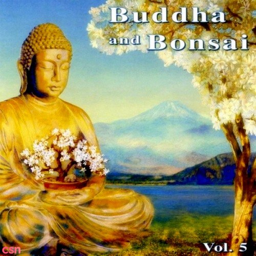 Buddha And Bonsai: The Power Of Silence