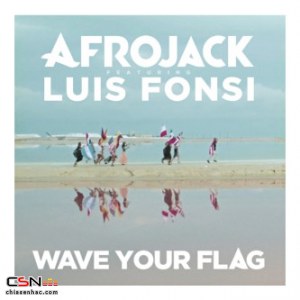 Wave Your Flag (Single)