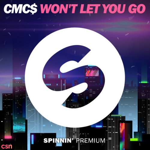 Won't Let You Go (Original Mix)