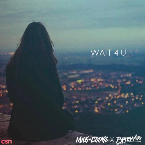 Wait 4 U (Single)