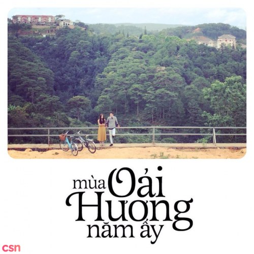 Mùa Oải Hương Năm Ấy (Single)