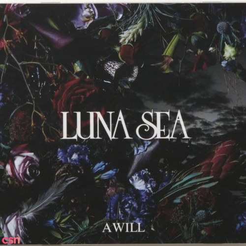 Luna Sea