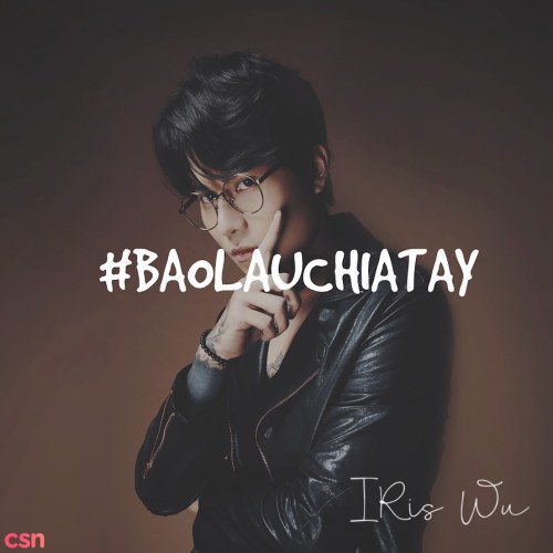 Bao Lâu Chia Tay (Single)