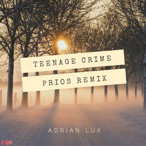 Teenage Crime - Prios Remix