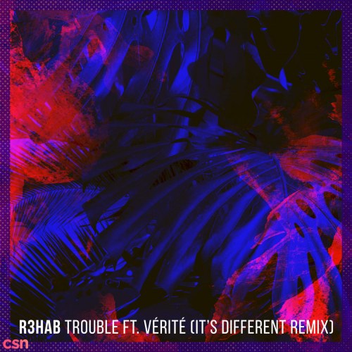 Trouble (It's Different Remix) (Single)
