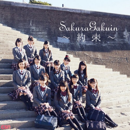 Sakura Gakuin