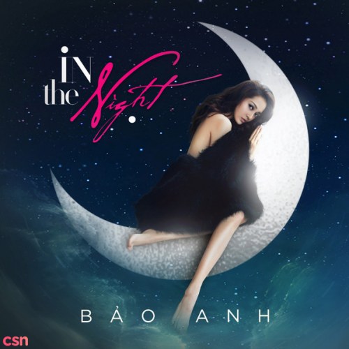 In The Night (Single)