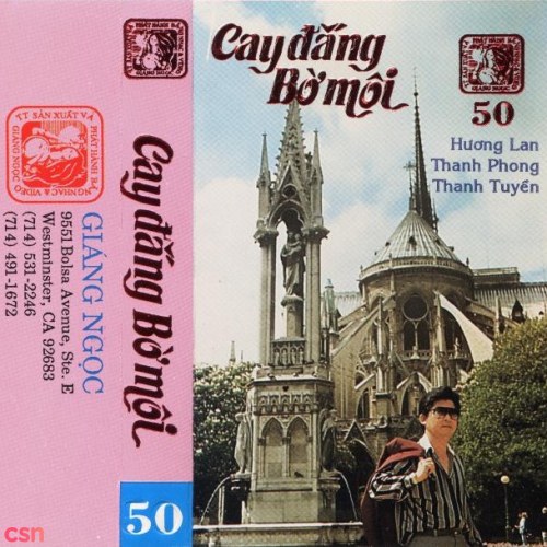 Cay Đắng Bờ Môi (Tape)