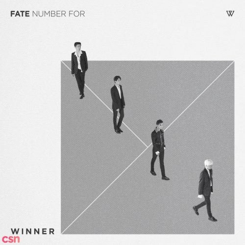 Fate Number For (Single)