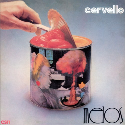 Cervello