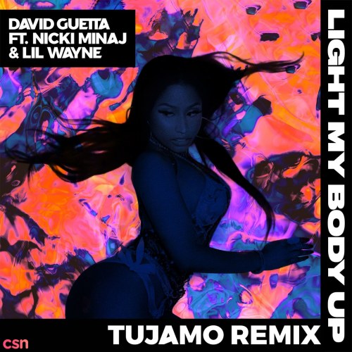 Light My Body Up (Tujamo Remix) (Single)