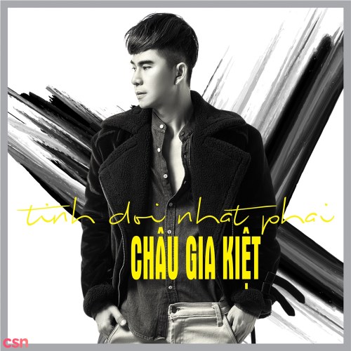 Tình Đời Nhạt Phai (Single)