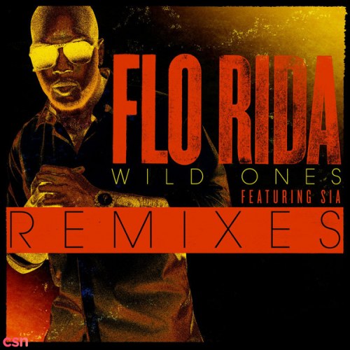 Wild Ones (Remixes)