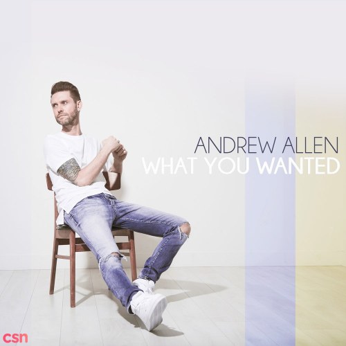 What You Wanted (Single)