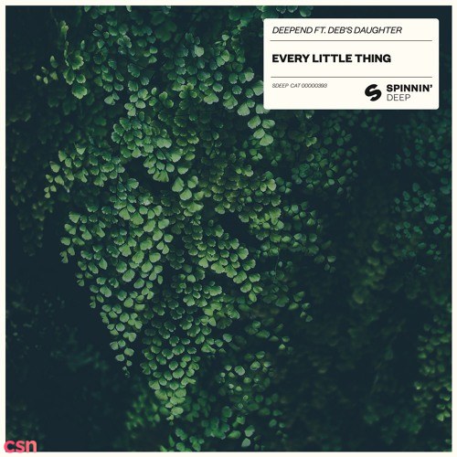 Every Little Thing (Single)