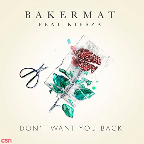 Don't Want You Back (Single)