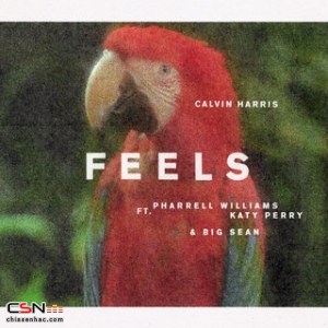 Feels (Single)