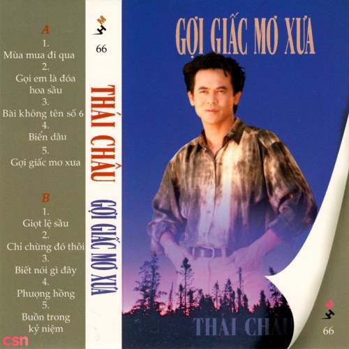 Gợi Giấc Mơ Xưa (Tape)