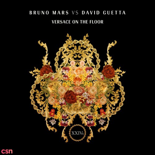 Versace On The Floor (David Guetta Remix) (Single)