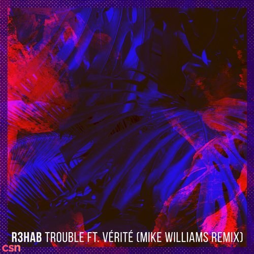 Trouble (Mike Williams Remix) (Single)