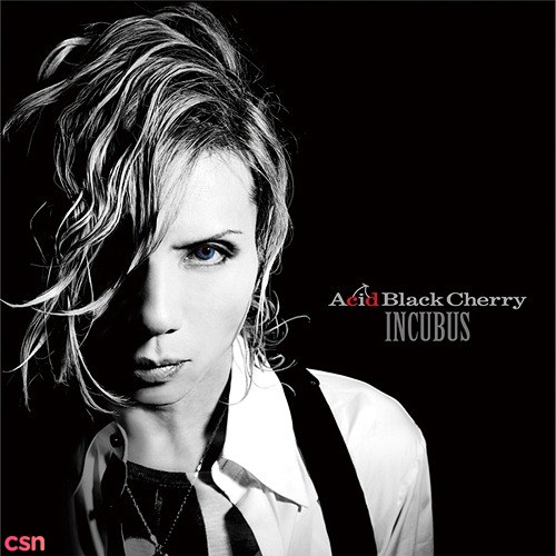 Acid Black Cherry