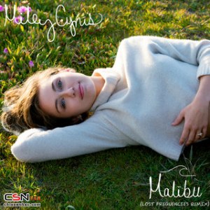 Malibu (Remix)