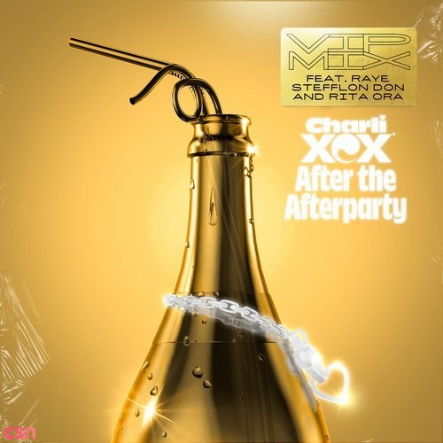 After The Afterparty (VIP Mix)