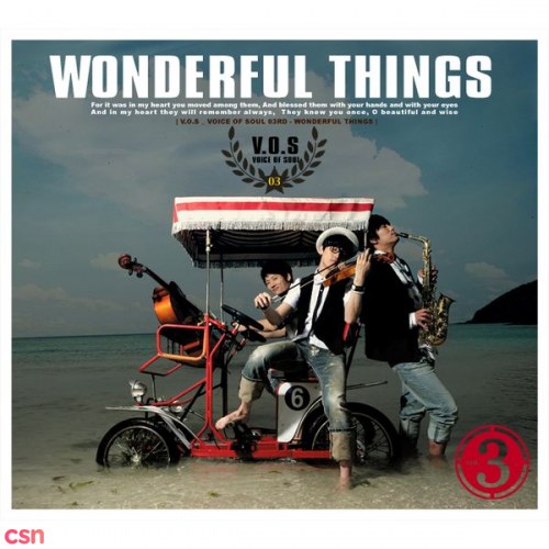 3rd Album Wonderful Things