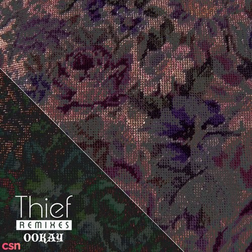 Thief (Remixes)