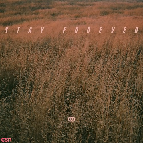 Stay Forever (Single)