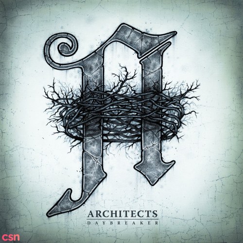 Architects