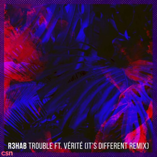 Trouble (It's Different Remix) (Single)