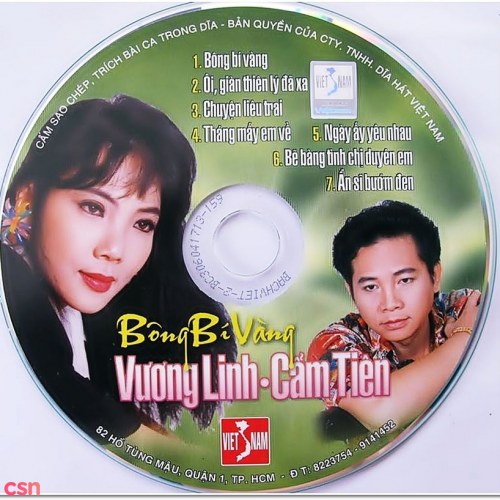 Bông Bí Vàng (Tân Cổ)