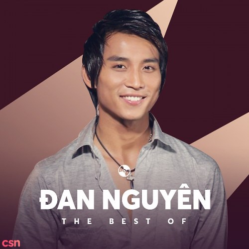 The Best Of Đan Nguyên