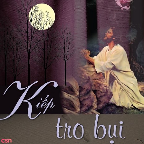 Kiếp Tro Bụi